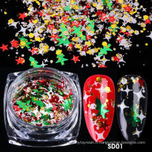 Écoding-friendly Pet Cosmetic Glitter Nail paillettes pour la décoration de Noël